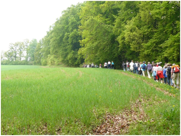 584x433 pixels (152K)